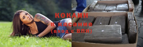 сатива Армянск