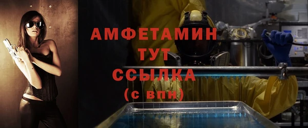 сатива Армянск