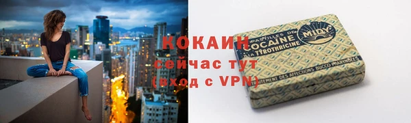 сатива Армянск