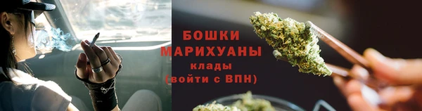 сатива Армянск