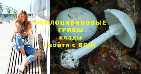 дурь Аркадак