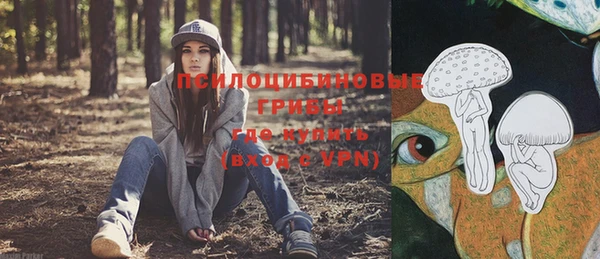 сатива Армянск