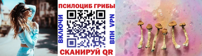 Псилоцибиновые грибы мицелий  hydra рабочий сайт  Новый Уренгой  что такое наркотик 